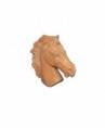 TESTA CAVALLO
